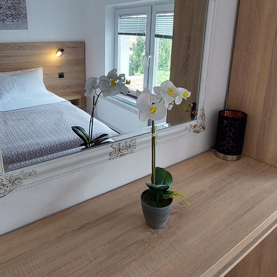 Apartment Roosevelt Βελιγράδι Εξωτερικό φωτογραφία